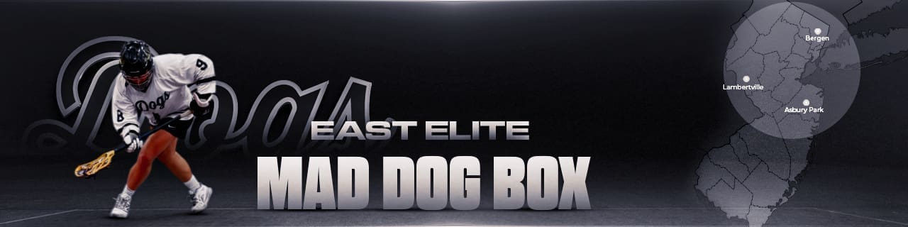 Banner-Girls---NJ (1)